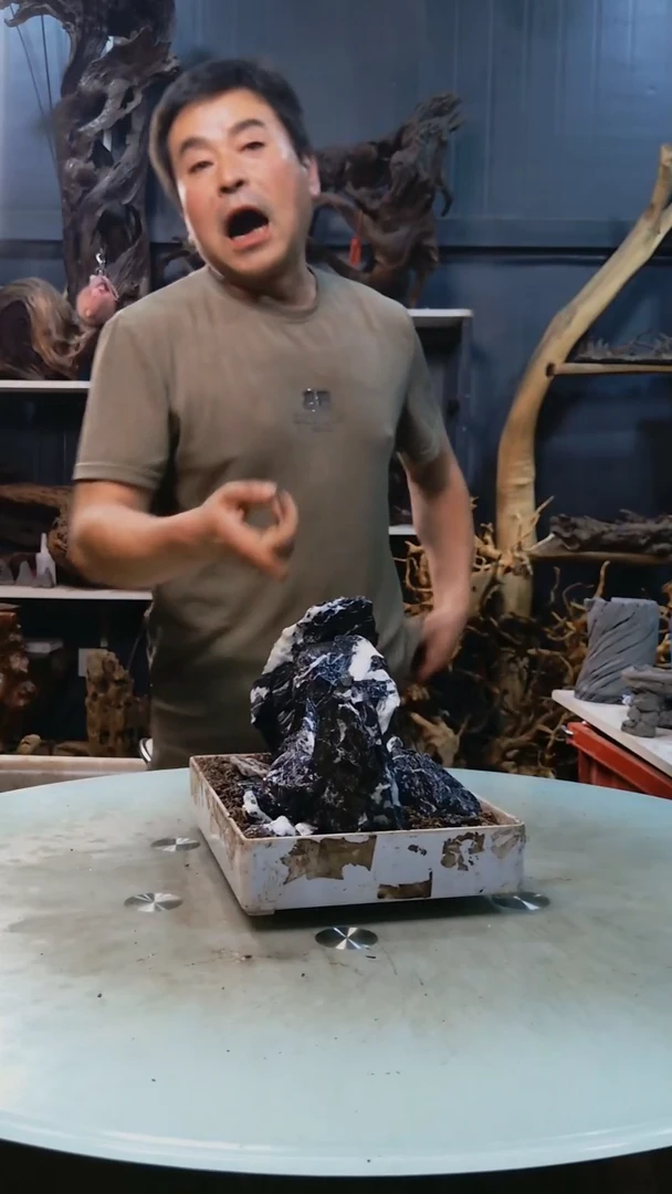 891清香阁清香阁清香阁