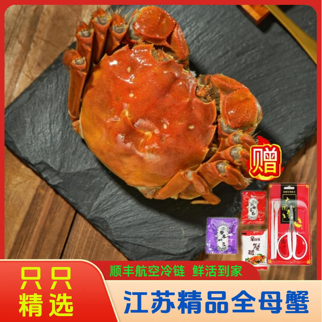 【活蟹】苏州河蟹全母蟹2.3-2.6两6/8/10只礼盒装海鲜