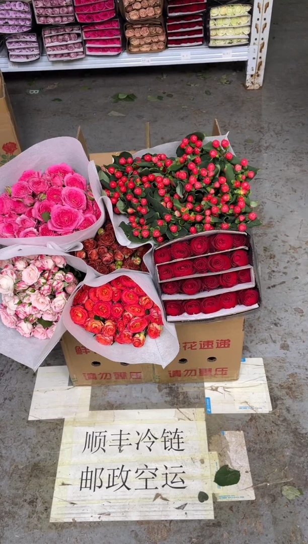 多头4扎任意色+单头玫瑰1扎任意色+红豆+黄莺2扎