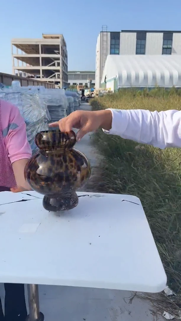 花瓶客厅餐桌插花装饰好物