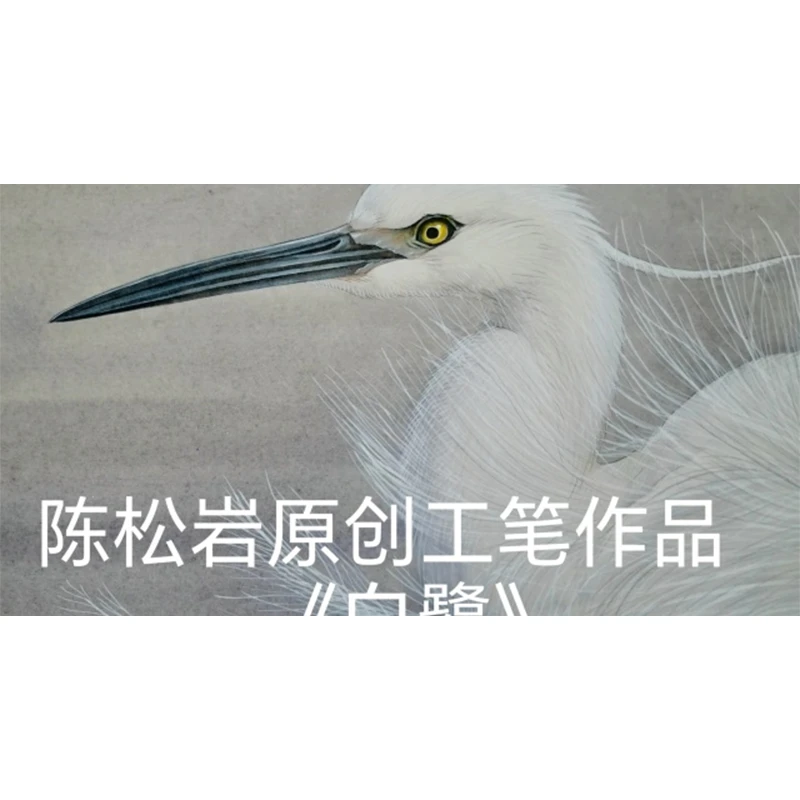 《白鹭》共7讲  陈松岩原创工笔课