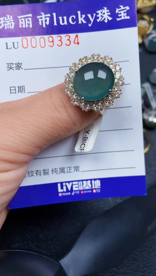 翡翠银S925镶嵌颈饰9334