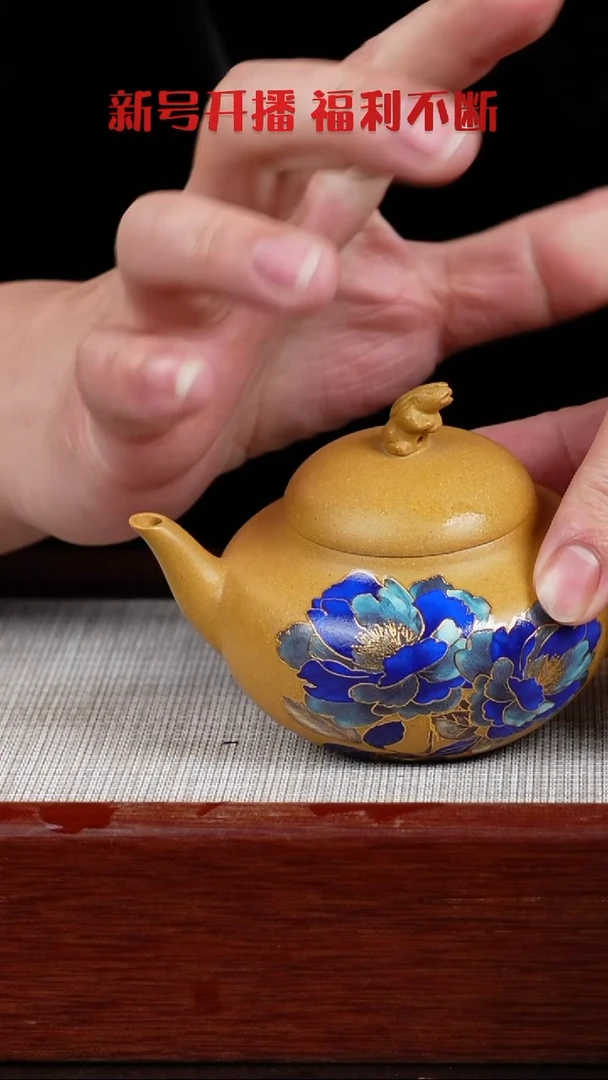 【闪购商品】段泥茶壶宜兴紫砂壶   0202  A34