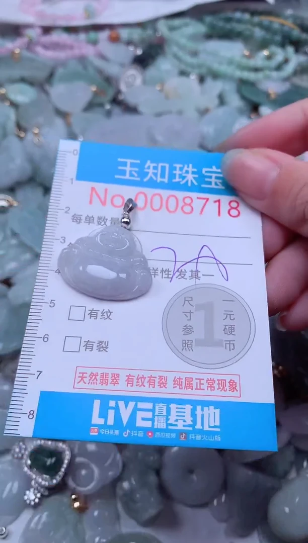 翡翠未镶嵌吊坠(不含链)8718