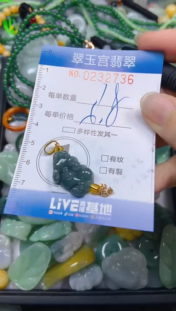 颈饰未镶嵌翡翠闪购C0232736