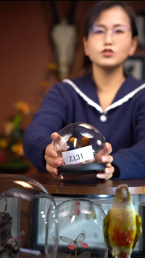 z131    仙人掌玻璃球