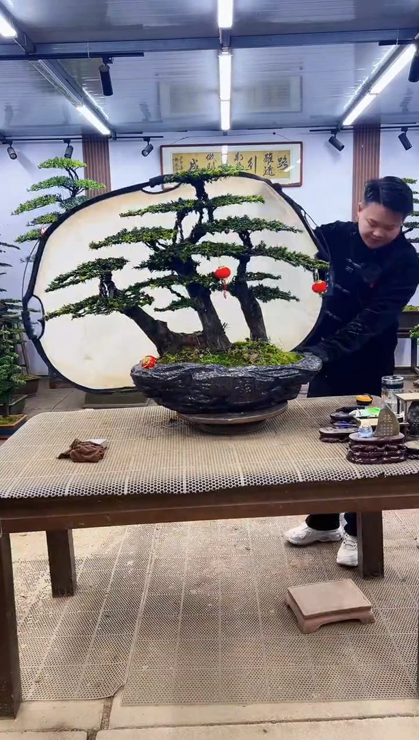 【闪购商品】00000000