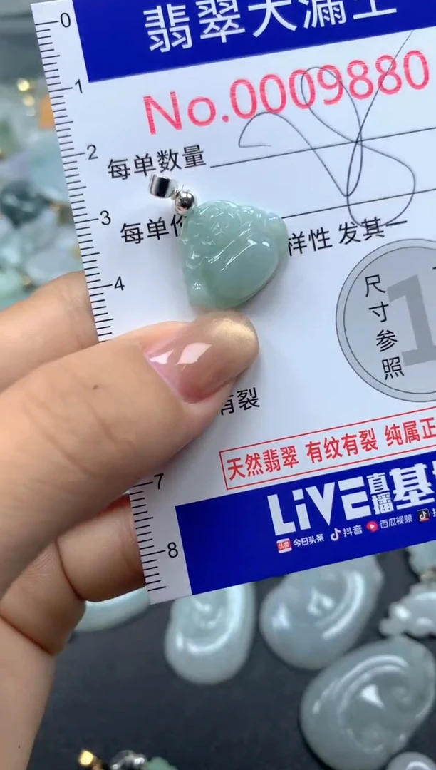 颈饰未镶嵌翡翠9880