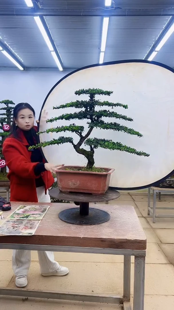 无花朵一物一拍，所见即所得