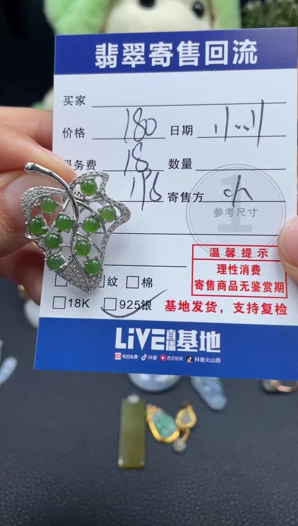 颈饰银S925镶嵌翡翠10150379