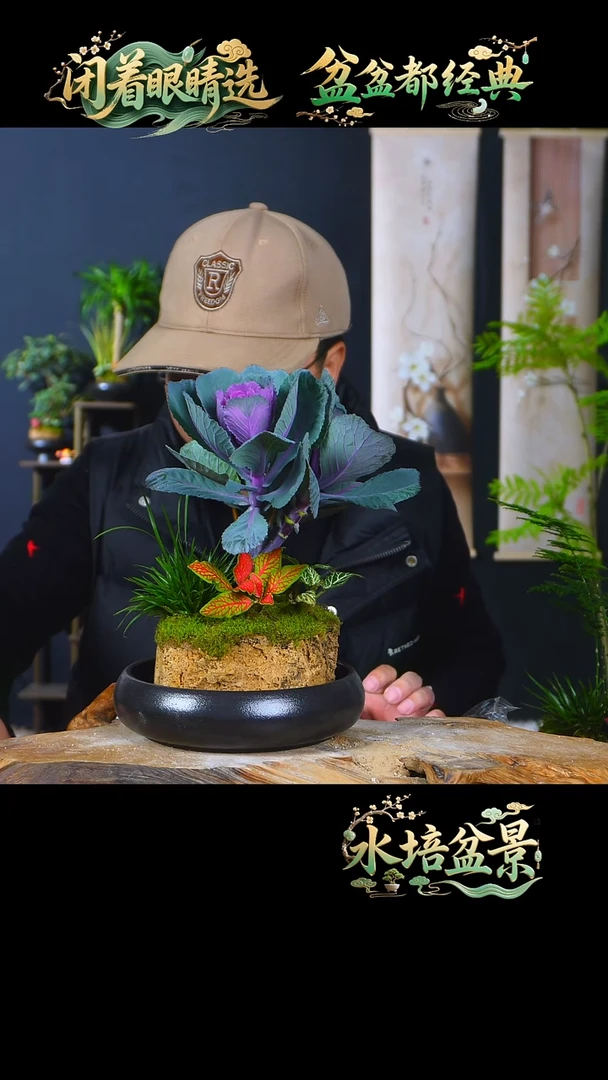 石云社一物一拍组合盆栽21