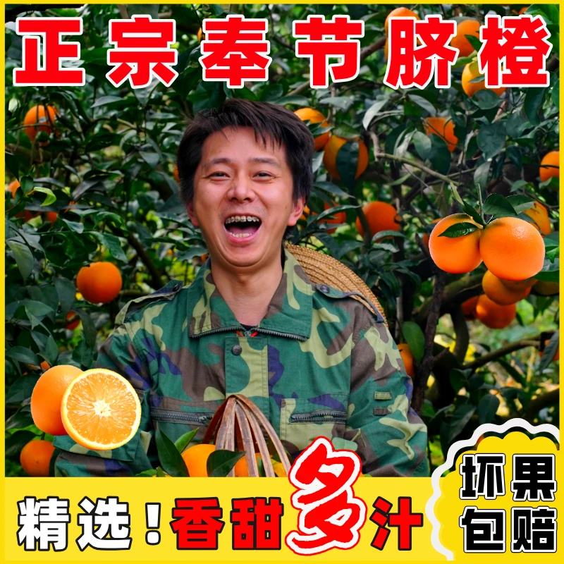 【坏果包赔】重庆正宗奉节脐橙72-1新鲜现摘孕妇橙子大果