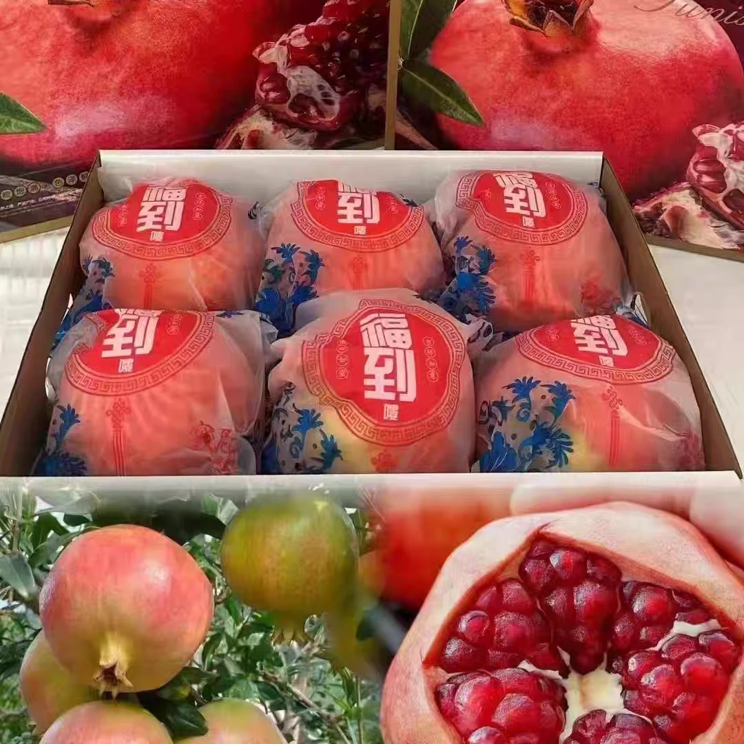 橄榄购专属【突尼斯软籽石榴】当季水果新鲜水果应季中秋节送礼佳品
