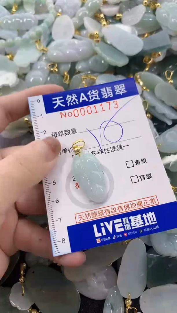 颈饰未镶嵌翡翠天然A货翡翠