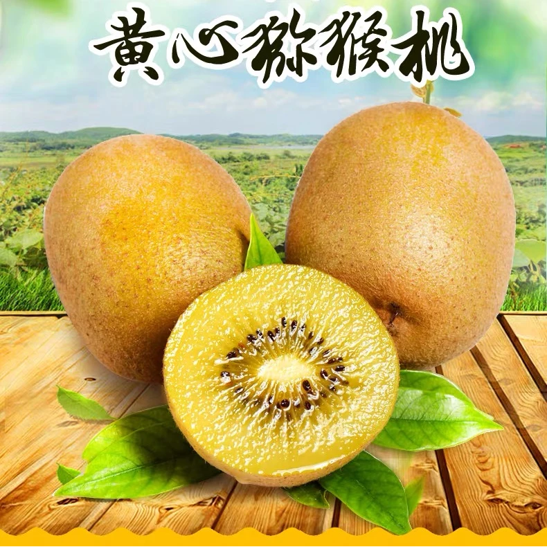 国产金果2只（常温下存放，微软即可食用）