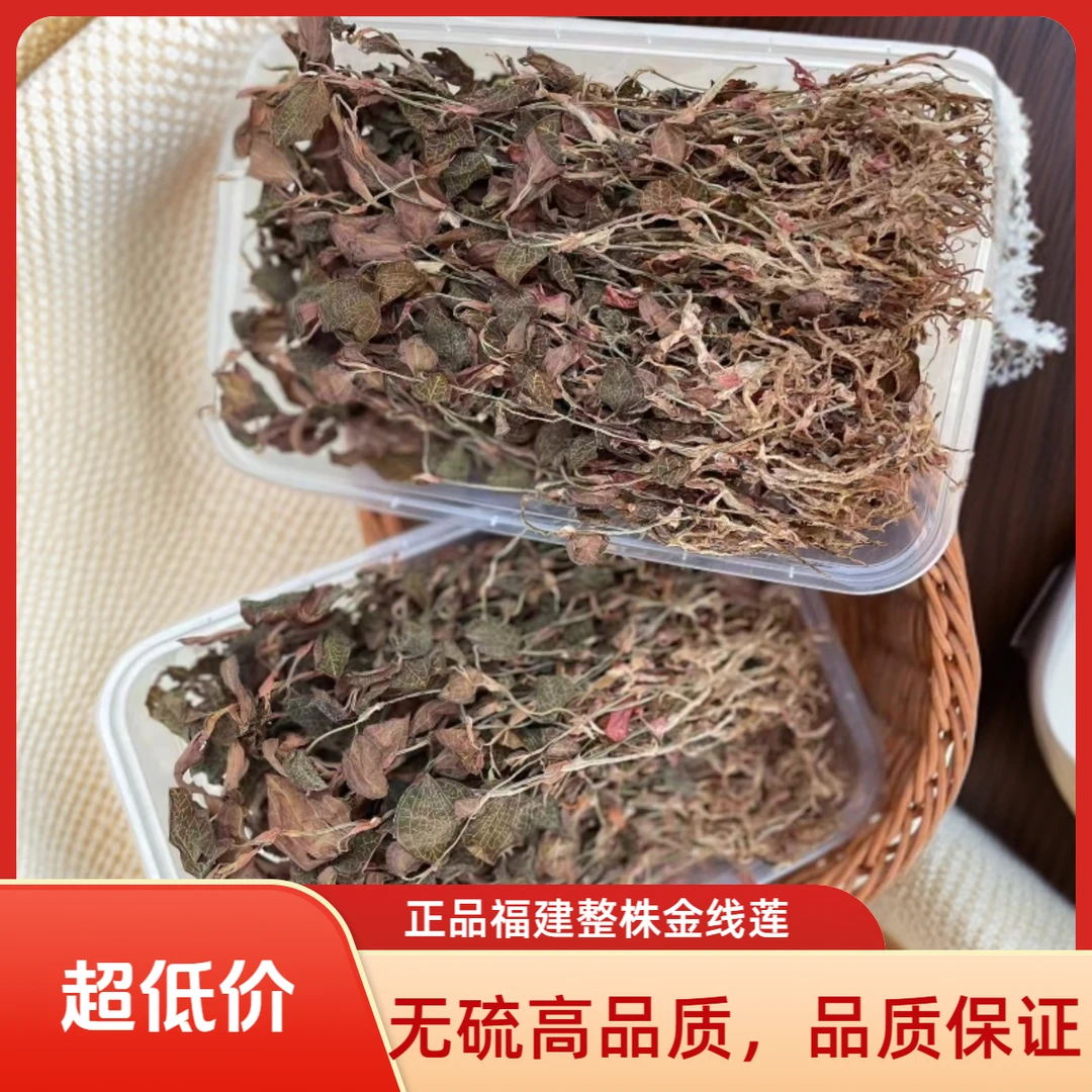 正宗福建无硫干品金线莲简装养生茶整株