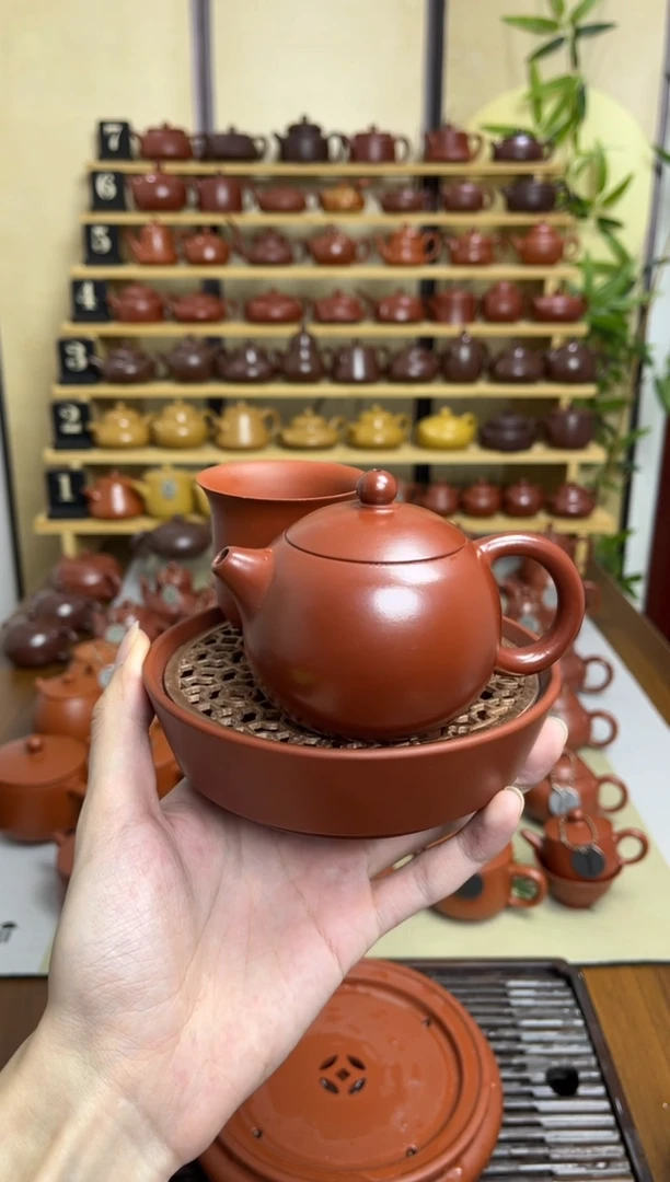 独**安24号西施120c+滤网壶承（送1主人杯