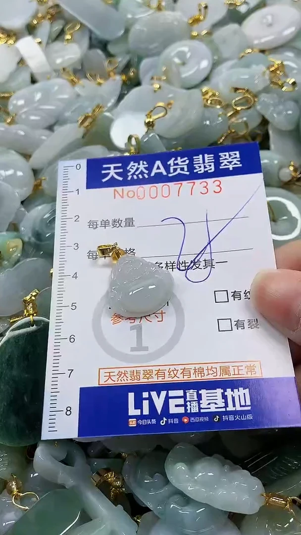 颈饰未镶嵌翡翠纯天然a货翡翠