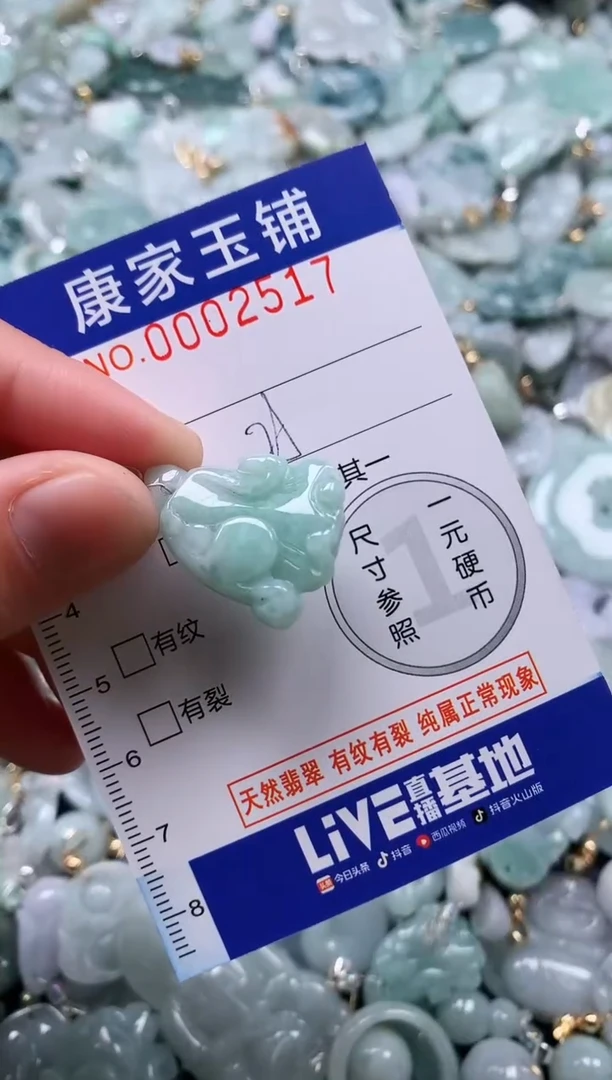 颈饰未镶嵌翡翠2517