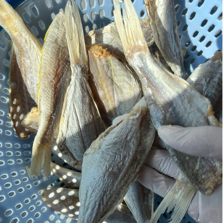 广东本港新鲜自晒 红衫鱼 咸香鱼干