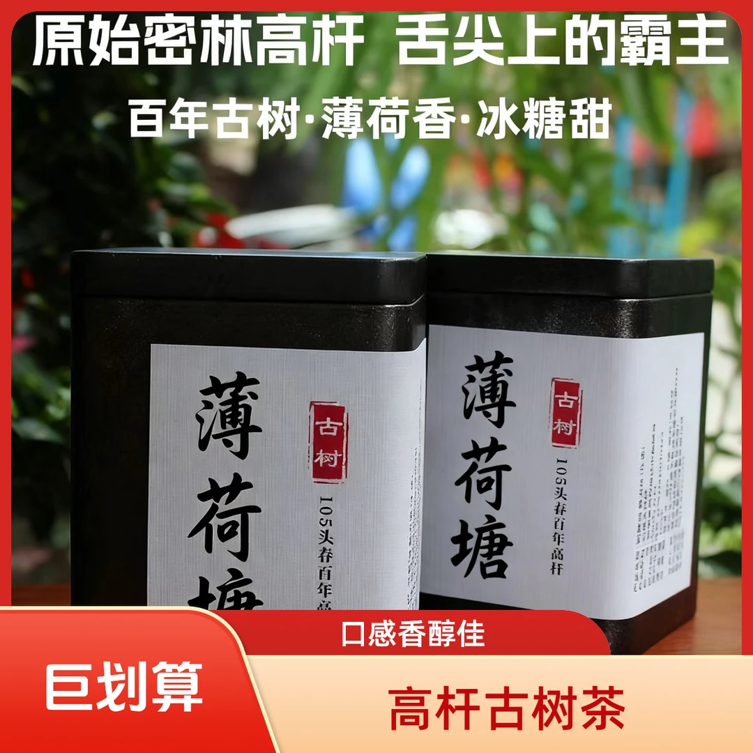 普洱茶高杆古树生茶  口粮茶的标杆(保温杯专用）