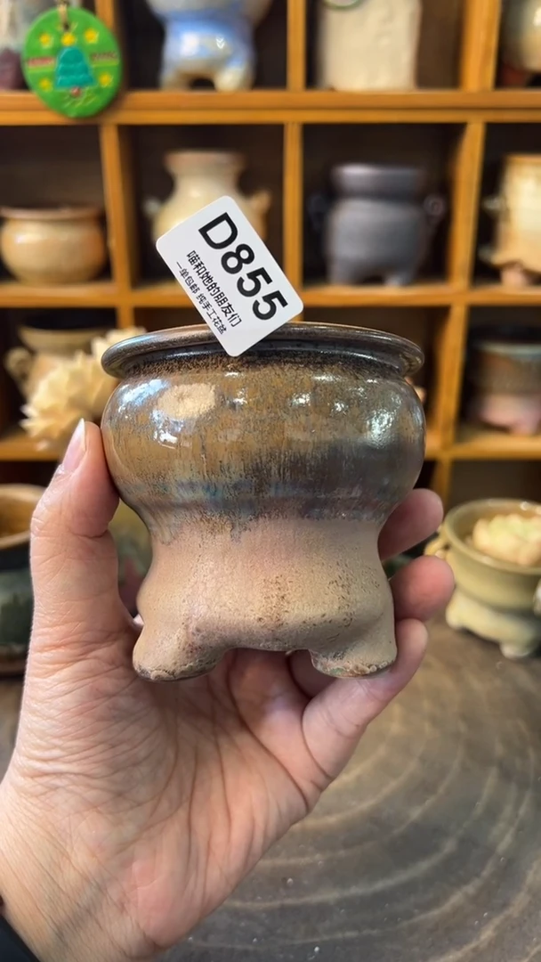 855 内口6.5【多肉花盆多肉盆】