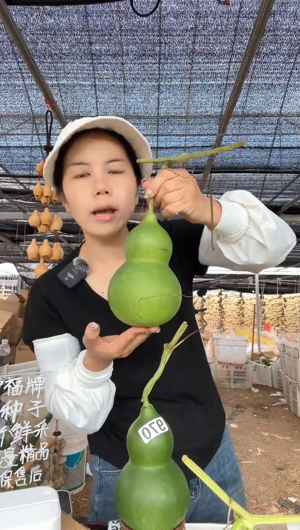 970天然葫芦摆件 一物一拍龙头不保售后