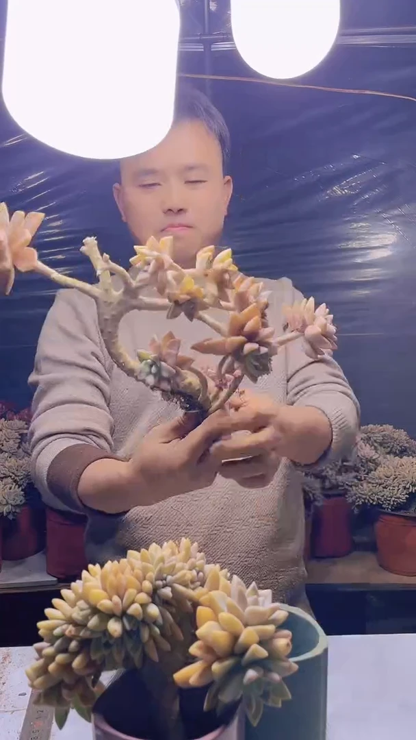 【闪购商品】缀化140