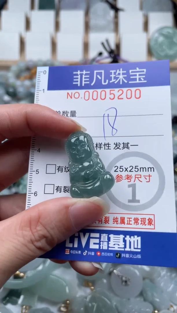 翡翠未镶嵌颈饰00..5200