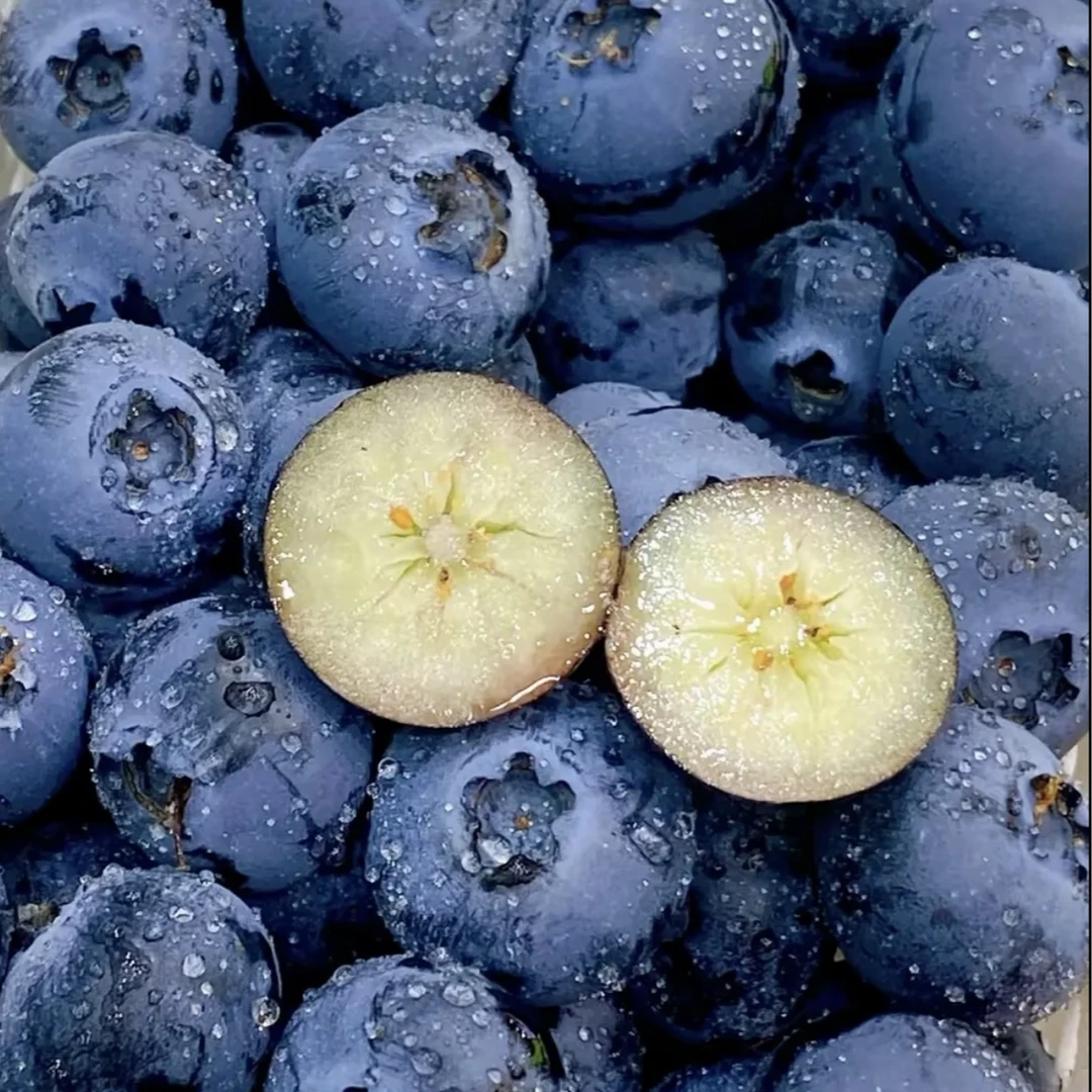 【现货】云南花香蓝莓应季新鲜酸甜水果（顺丰/京东）全国多仓发货