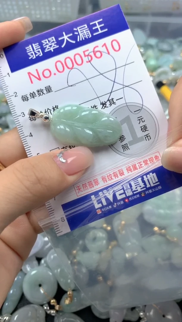 颈饰未镶嵌翡翠5610