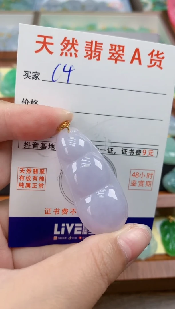 颈饰未镶嵌翡翠天然A货翡翠挂件