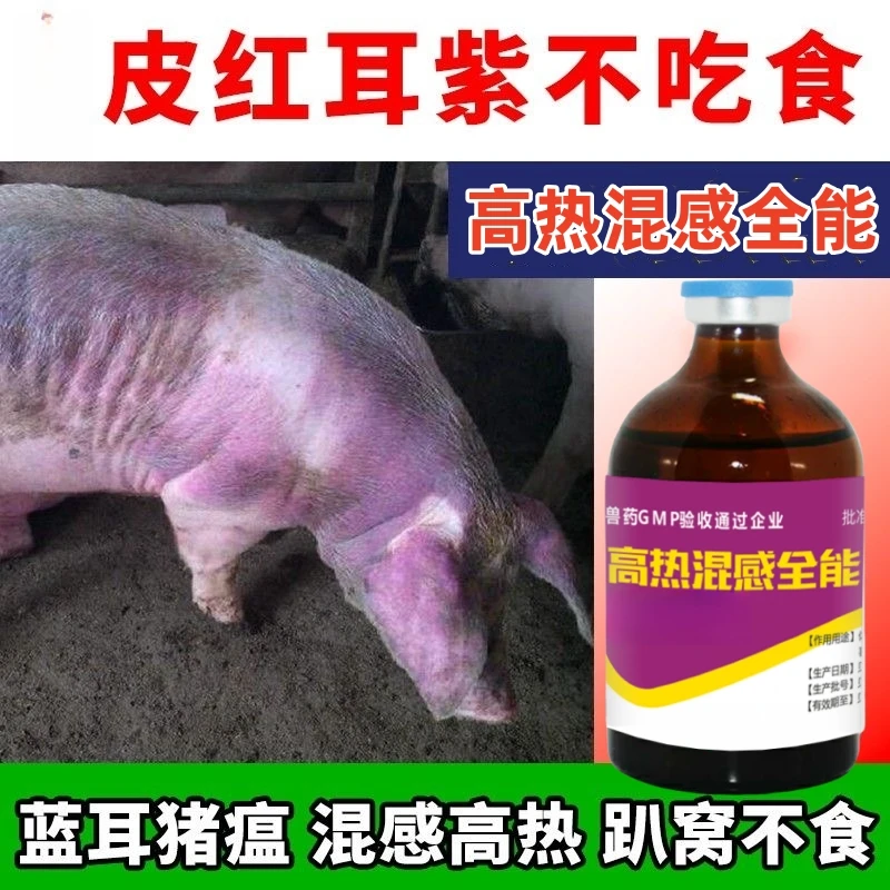 【高热混感全能】正品猪高热不吃可用蓝耳猪瘟圆环附猪康复高热使用