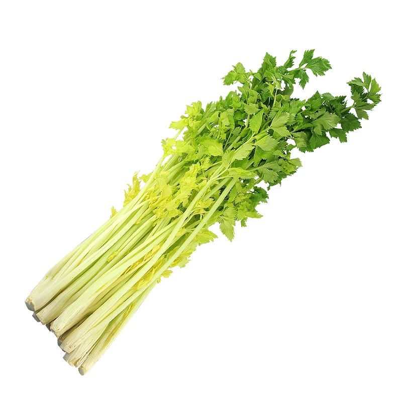 桂河芹菜500-600g/份