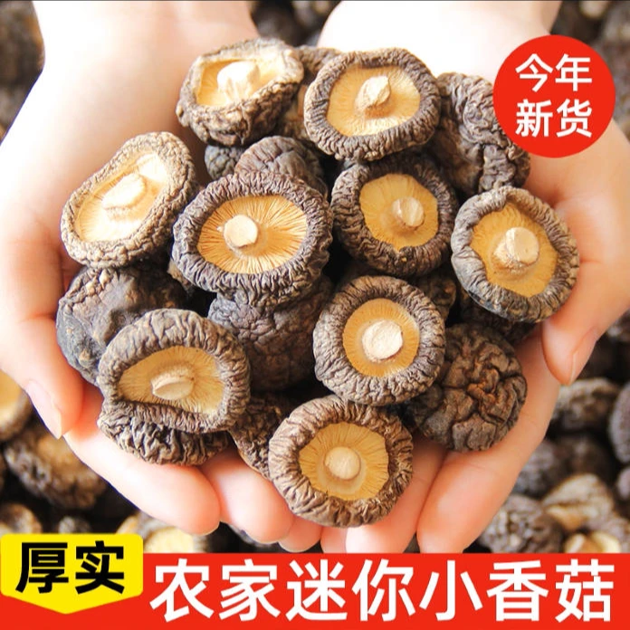 江西井冈山香菇干货迷你小香菇蘑菇菌菇土特产