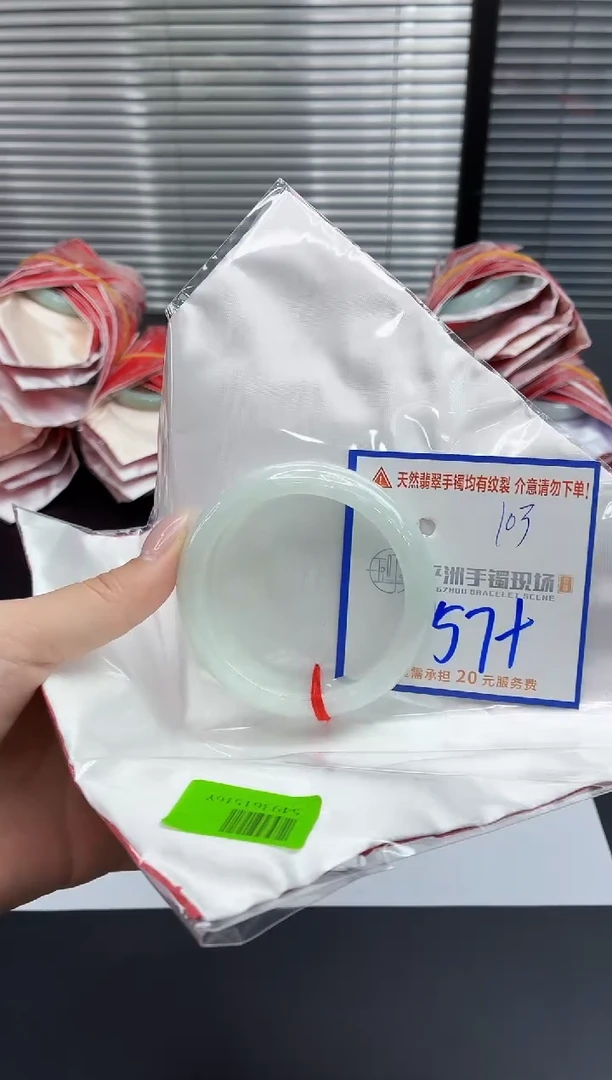 未镶嵌手镯翡翠11111