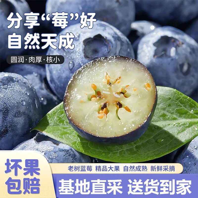 【基地直采·推荐6盒】TY蓝莓果云南高山花香品种花青素水果100g/盒