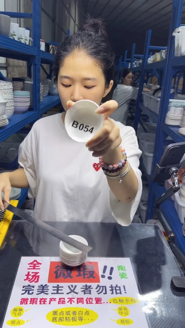 碟B054   10只装