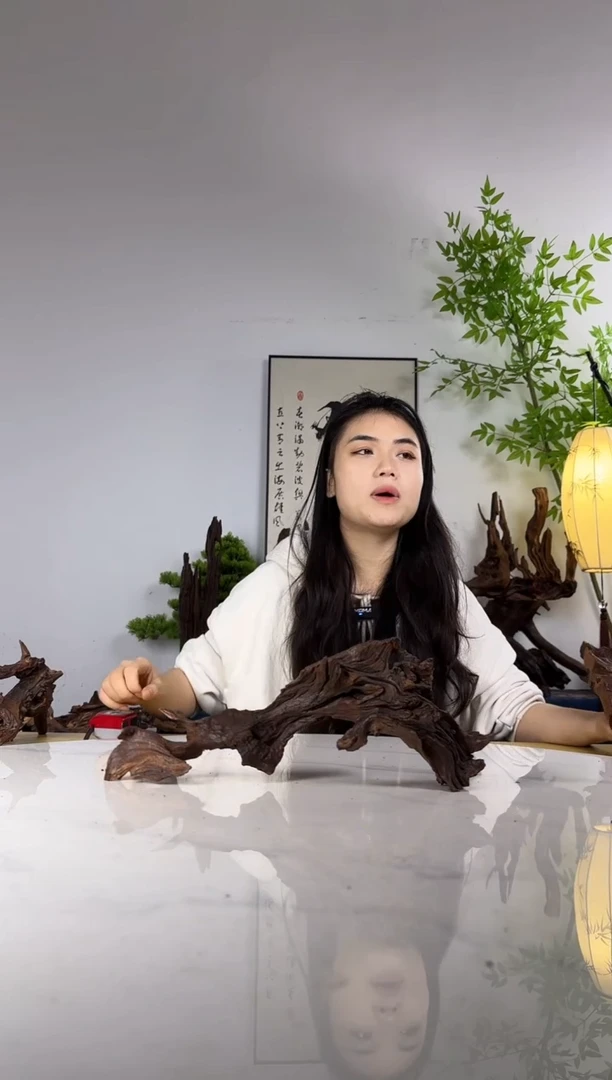 L****H拍沉木定向链接编号15