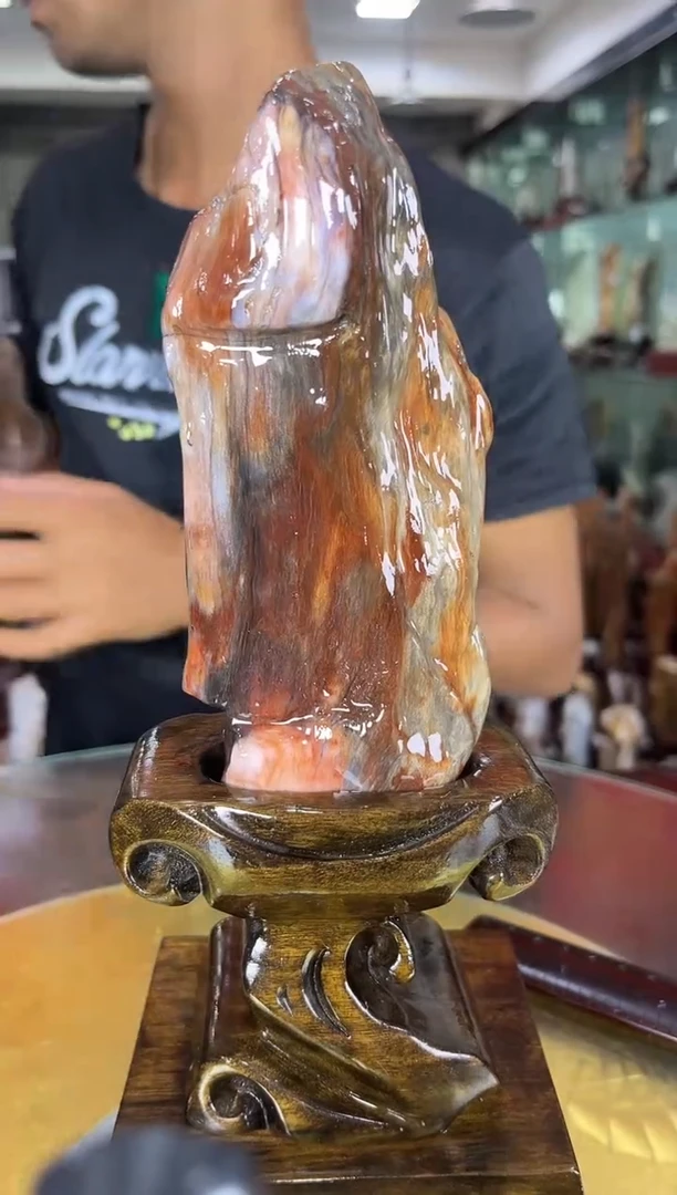 硅化玉珠宝奇石未镶嵌缅甸天然树化玉