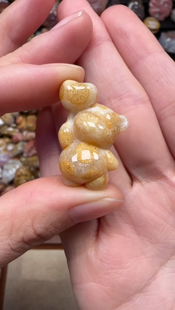 颈饰未镶嵌硅化珊瑚（珊瑚玉）243