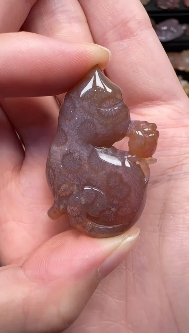 颈饰未镶嵌硅化珊瑚（珊瑚玉）635