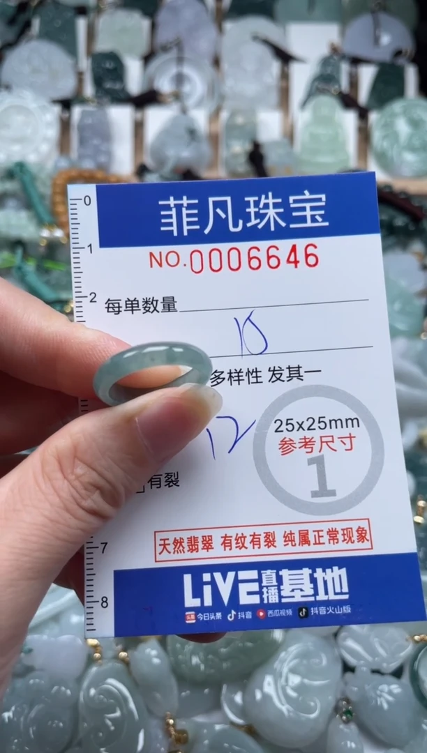 翡翠未镶嵌颈饰00..6646