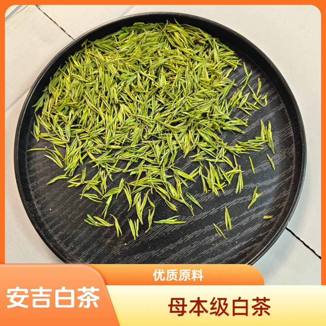 安吉白茶2025核心产区溪龙黄杜母本级安吉白茶一芽一叶