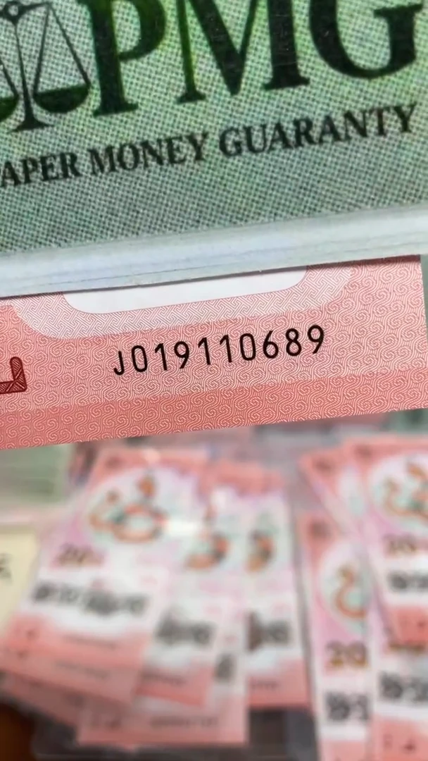 【闪购商品】塑料蛇钞019110689单张包PMG1