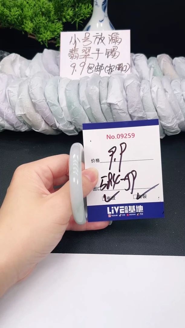 未镶嵌手镯翡翠9259