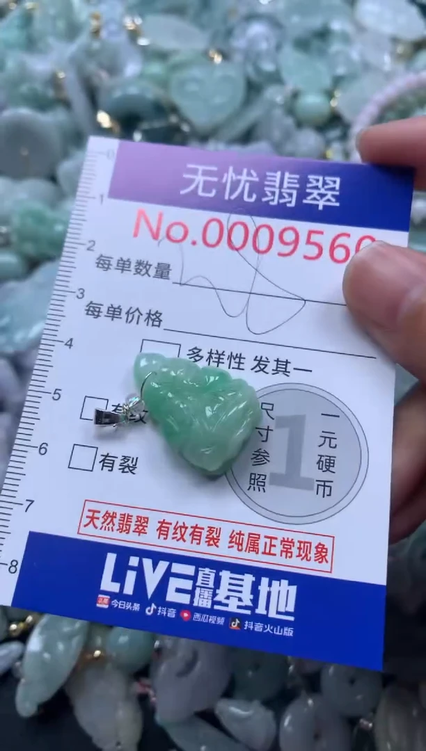 颈饰未镶嵌翡翠9560