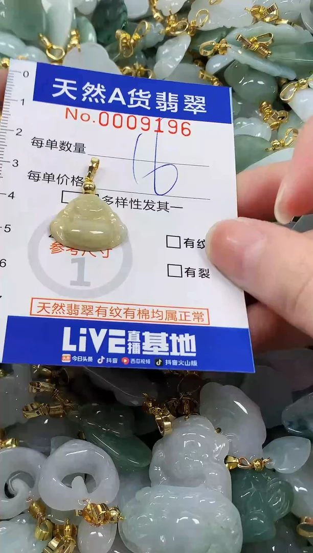 颈饰未镶嵌翡翠纯天然a货翡翠