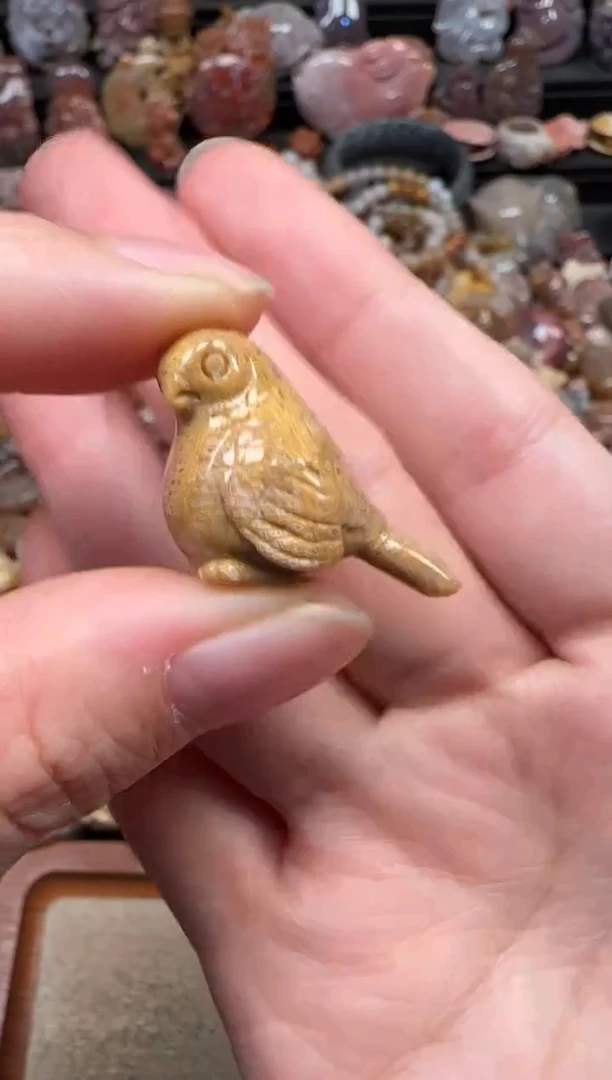 颈饰未镶嵌硅化珊瑚（珊瑚玉）009