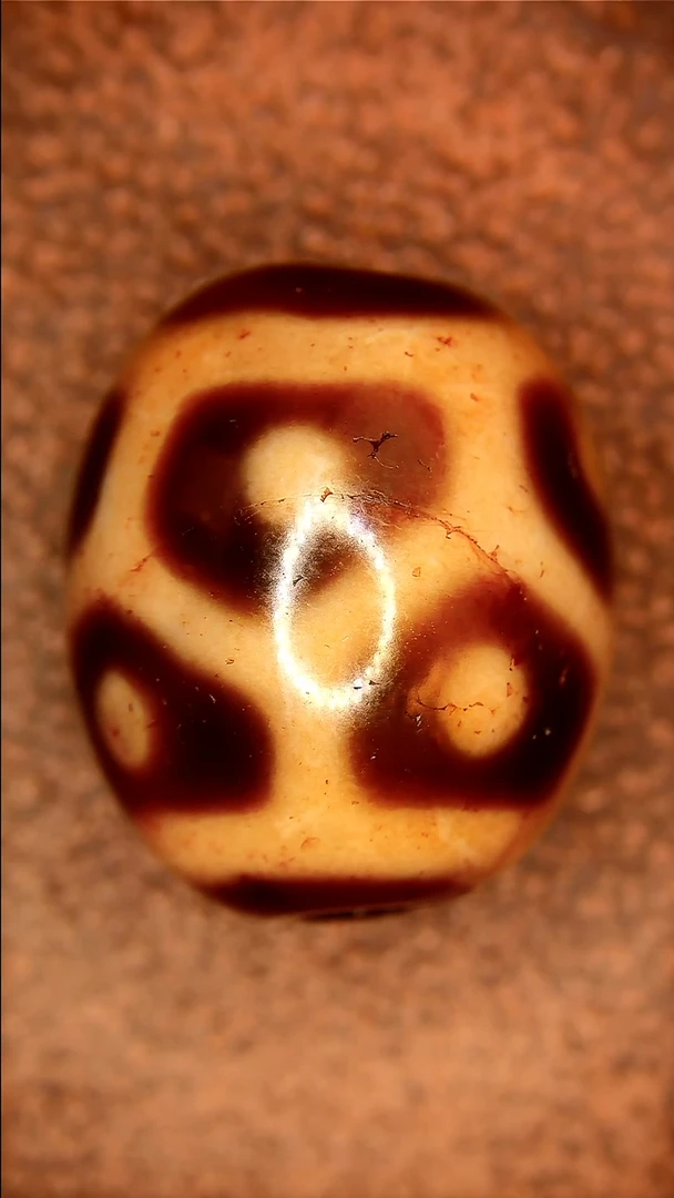 未镶嵌玛瑙/玉髓珠宝半成品上肯龟甲八眼达洛天珠12*14